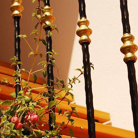 Apartment Mladenka Visnjik Ζαντάρ Εξωτερικό φωτογραφία